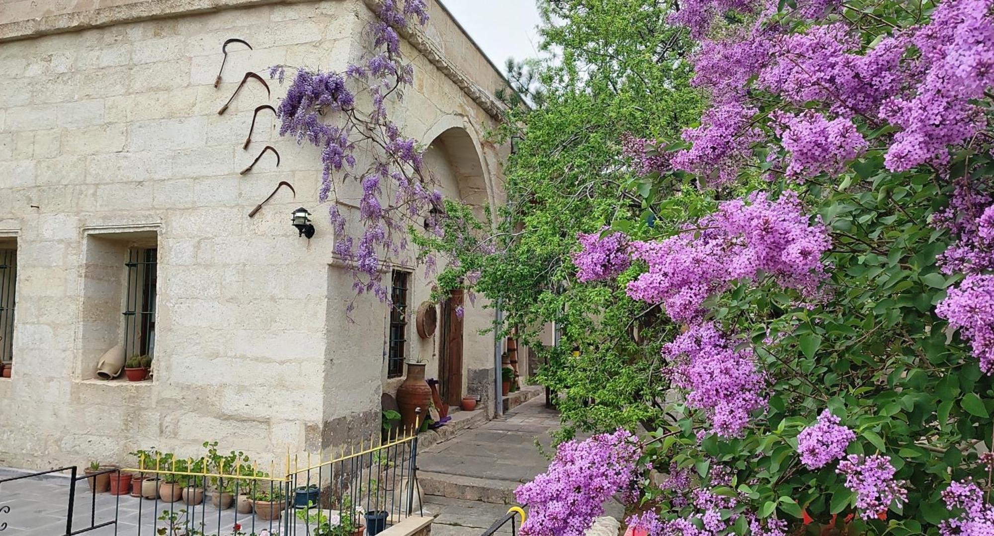 Armesos Cave Hotel Ургуп Экстерьер фото